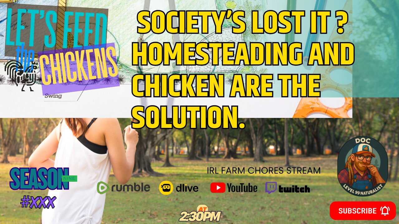 Let's Feed the Chickens | 🤯 Society’s Lost It ? Homesteading and Chicken are the Solution.
