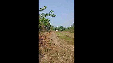 satisfying Video