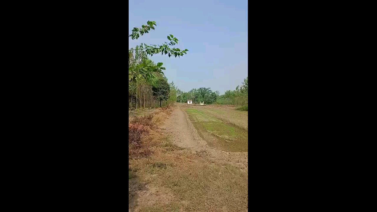 satisfying Video