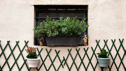 How homeowners see their home as an extension of themselves