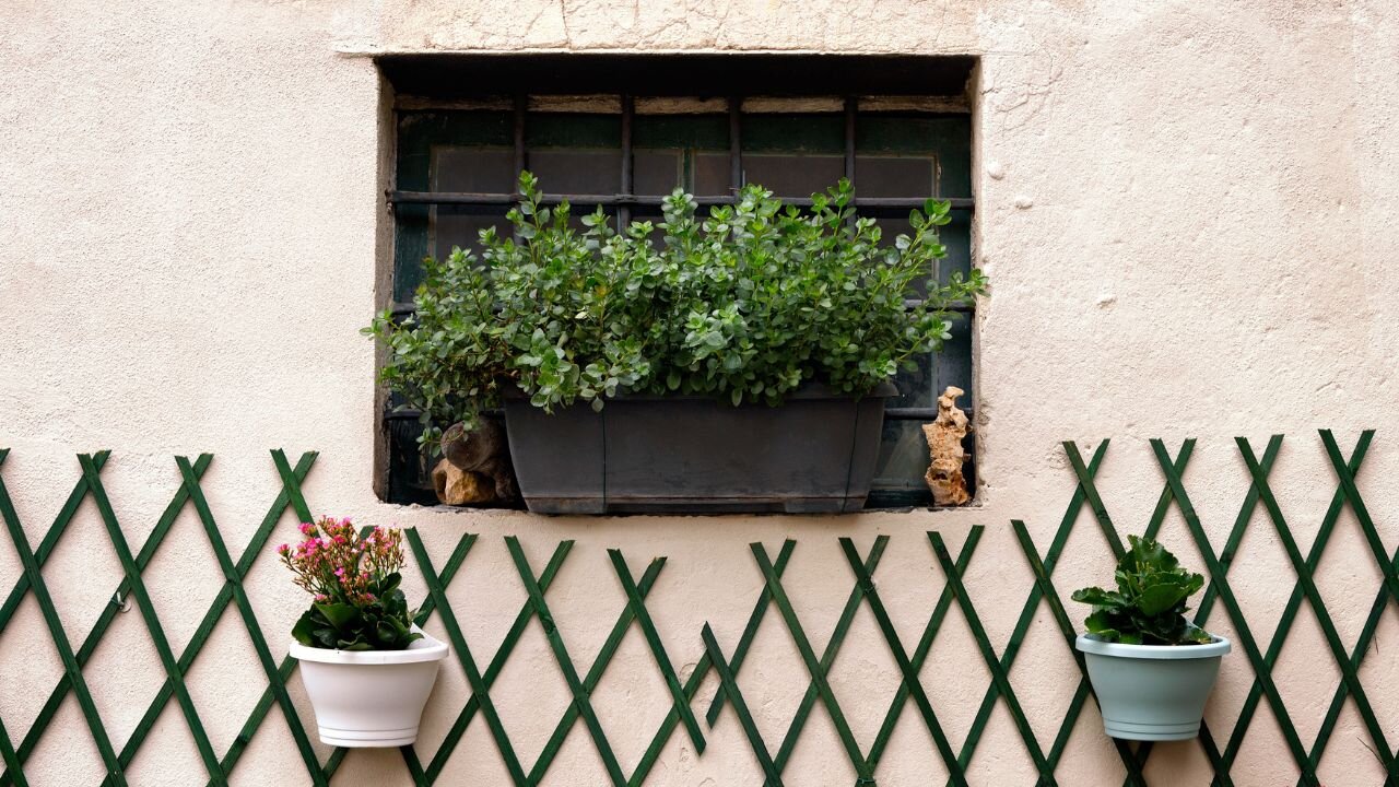 How homeowners see their home as an extension of themselves