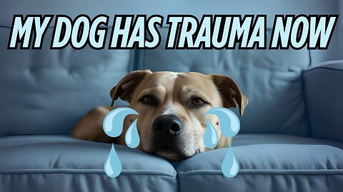 She Took Everything… Even the Dog