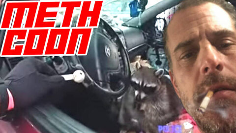 Police Find Pet Raccoon in Car Driver’s Seat With Meth Pipe in it's Mouth