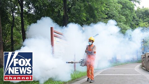 US TRAVEL WARNING: Mosquito-borne virus outbreak in China stokes fear