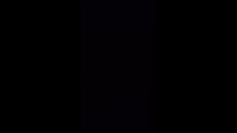 The "learning the art of penist'ing" session