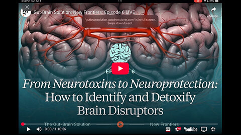 Gut brain solution episode 6
