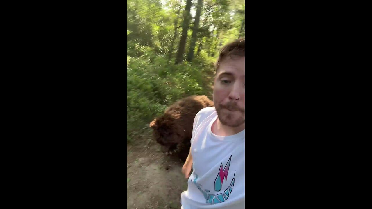 spot the fake animal for $10, 000