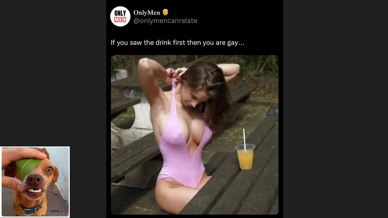 Memes That Will 99.0306% Make You Laugh. (e530)