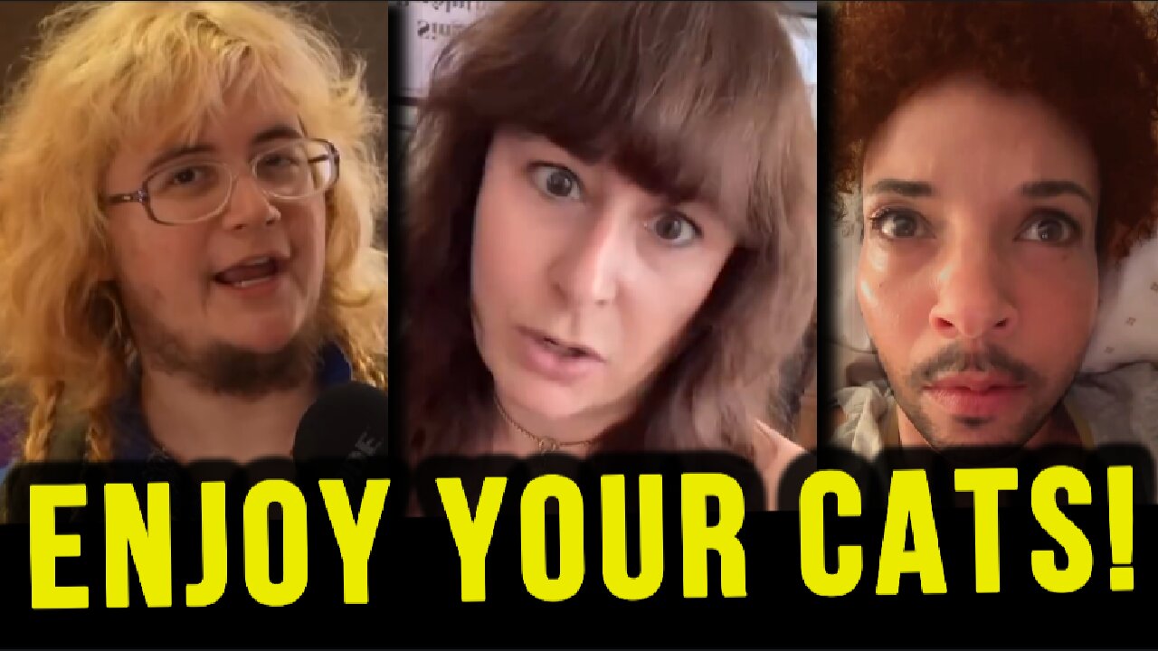 WOKE people are ruining the world! Try Not to Laugh