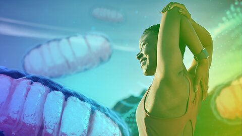 Top Nutrients for Mitochondria