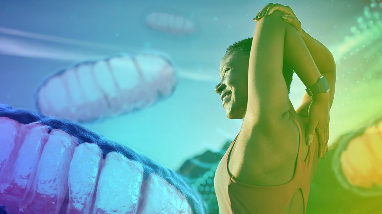 Top Nutrients for Mitochondria