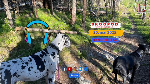 Skogpod 30. mai 2025