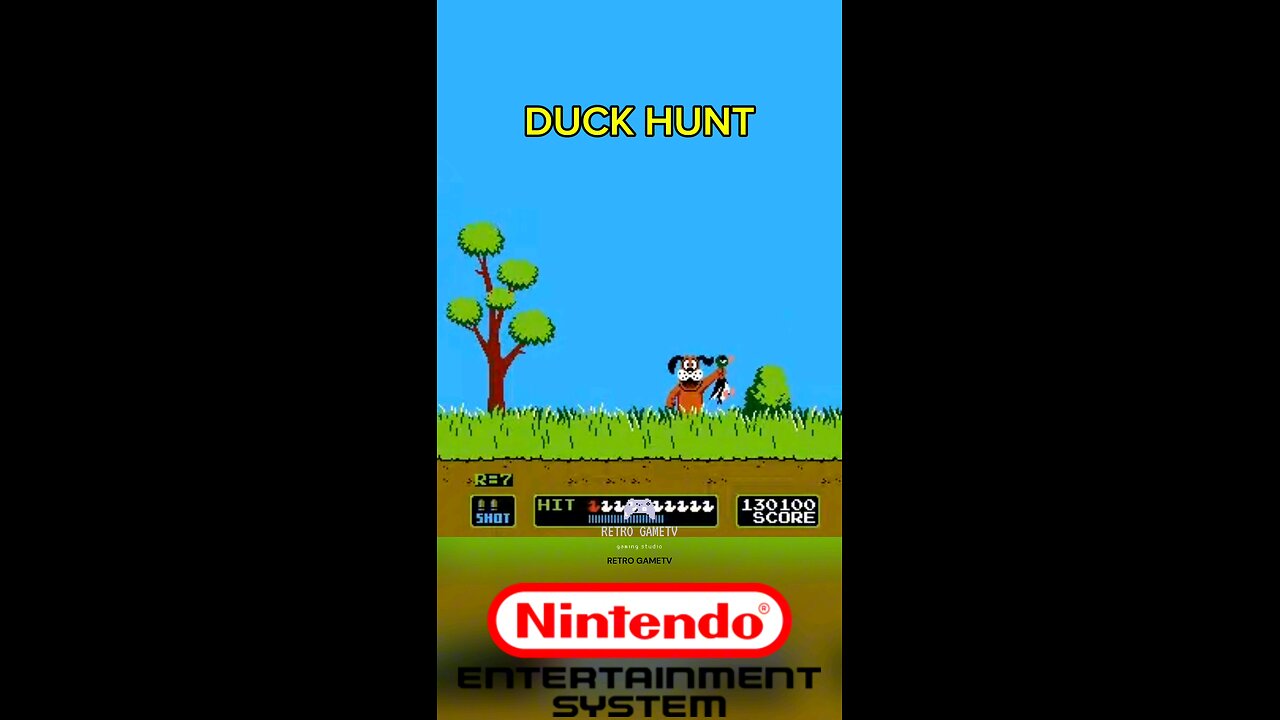 DUCK HUNT