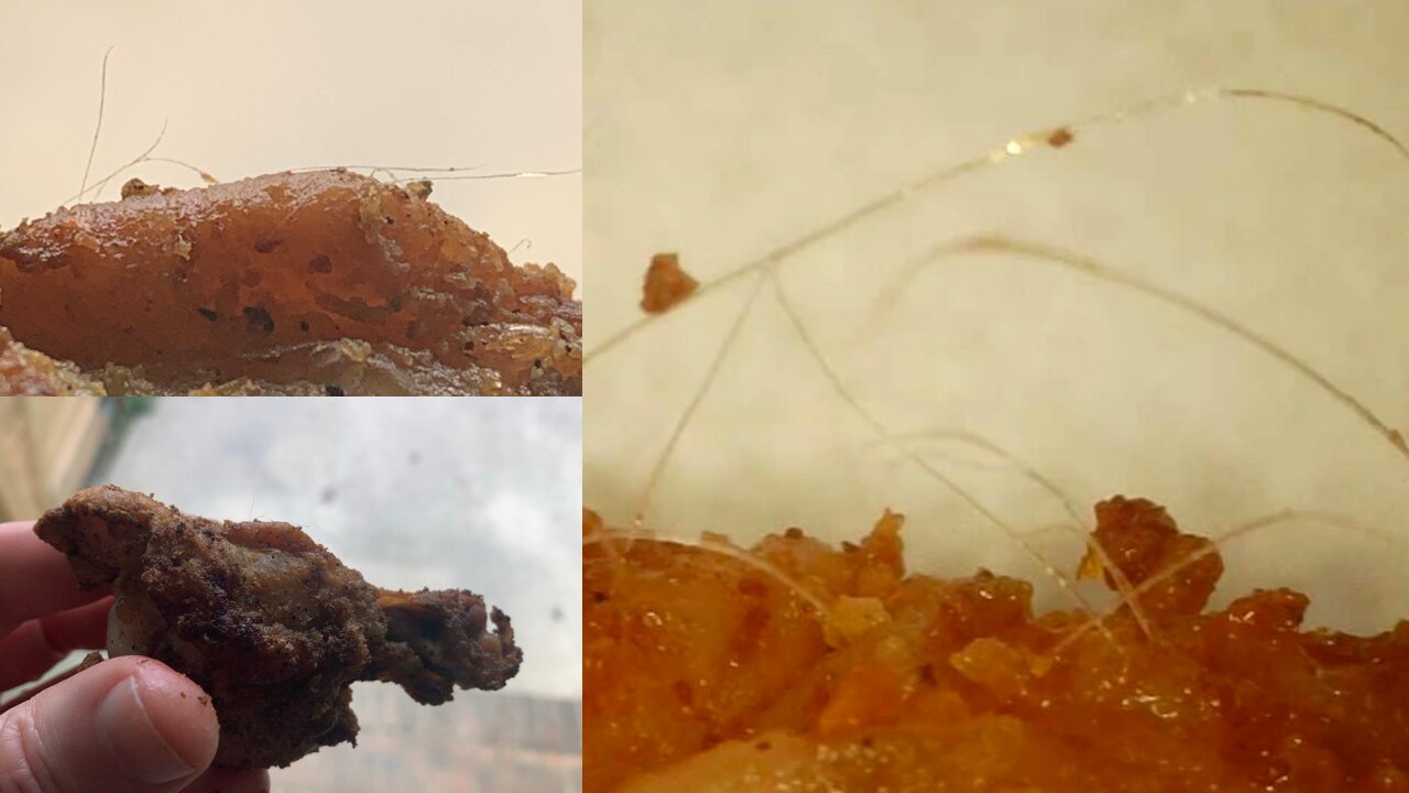 Wings & Filaments