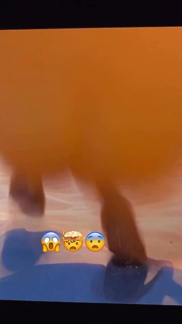 These people are sick