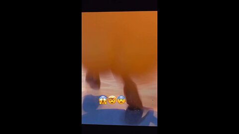 These people are sick