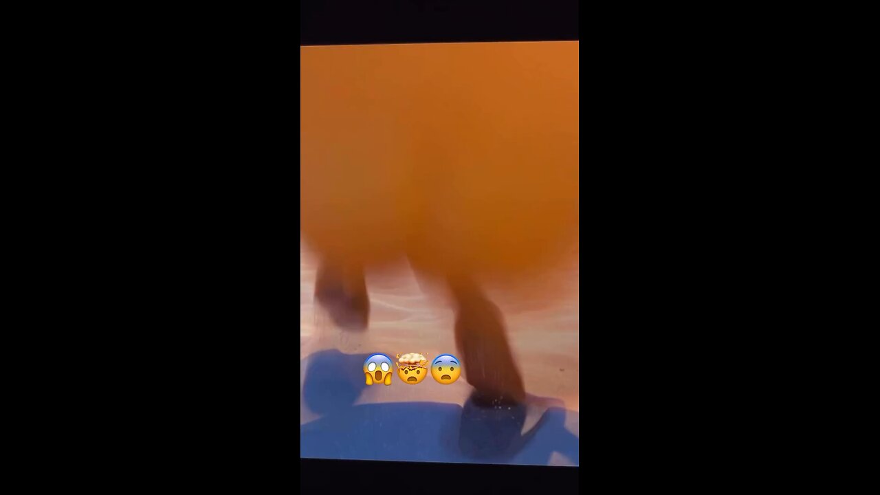 These people are sick