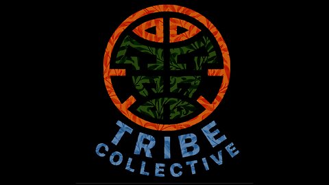 The Tribe Collective Stores
