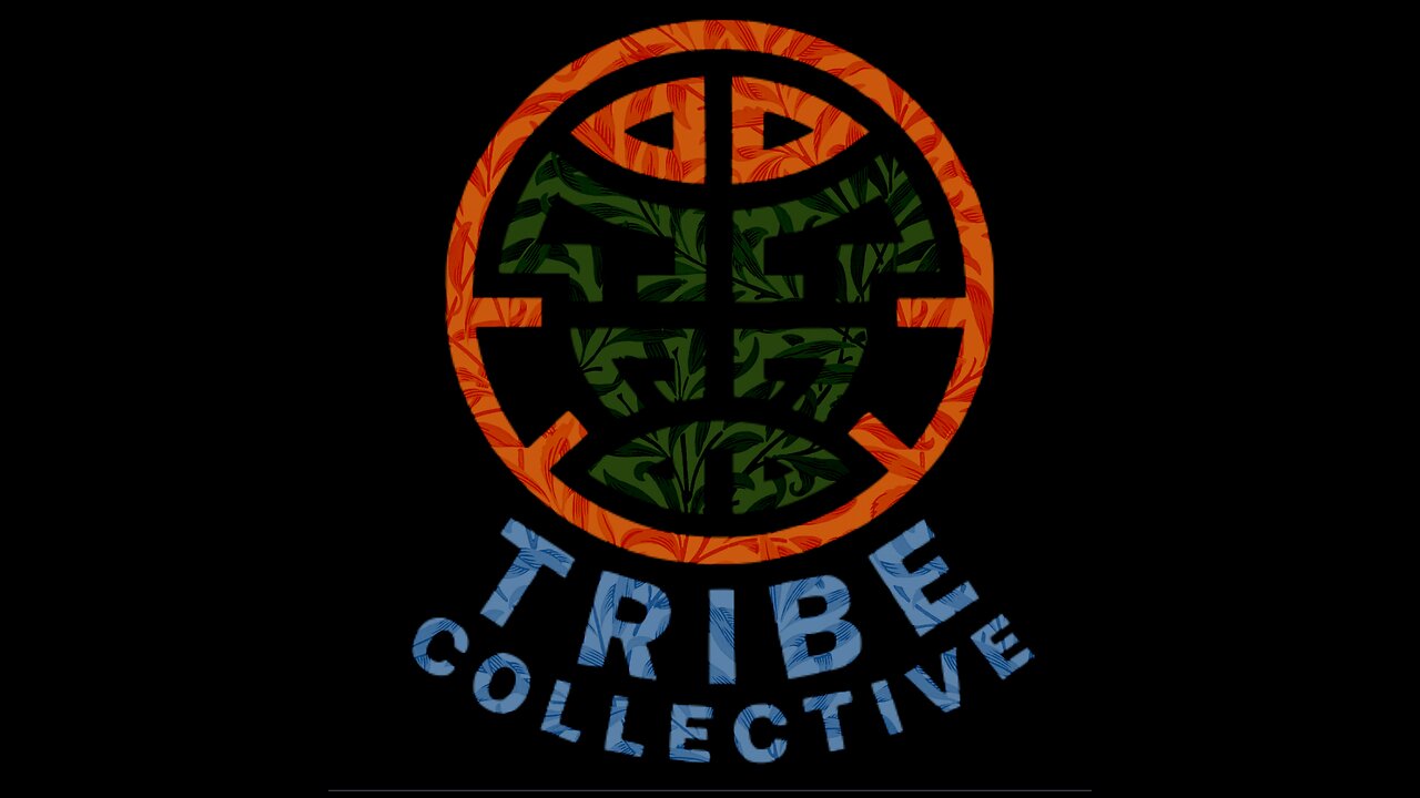The Tribe Collective Stores