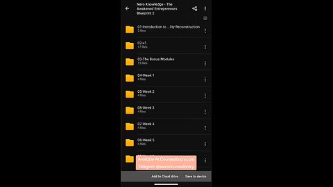 (CoursesLibrary.com)Nero Knowledge - The Awakened Entrepreneurs Blueprint 2.0