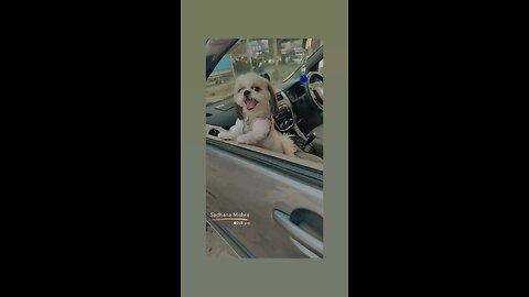 मेरी मम्मा कहा चली गई