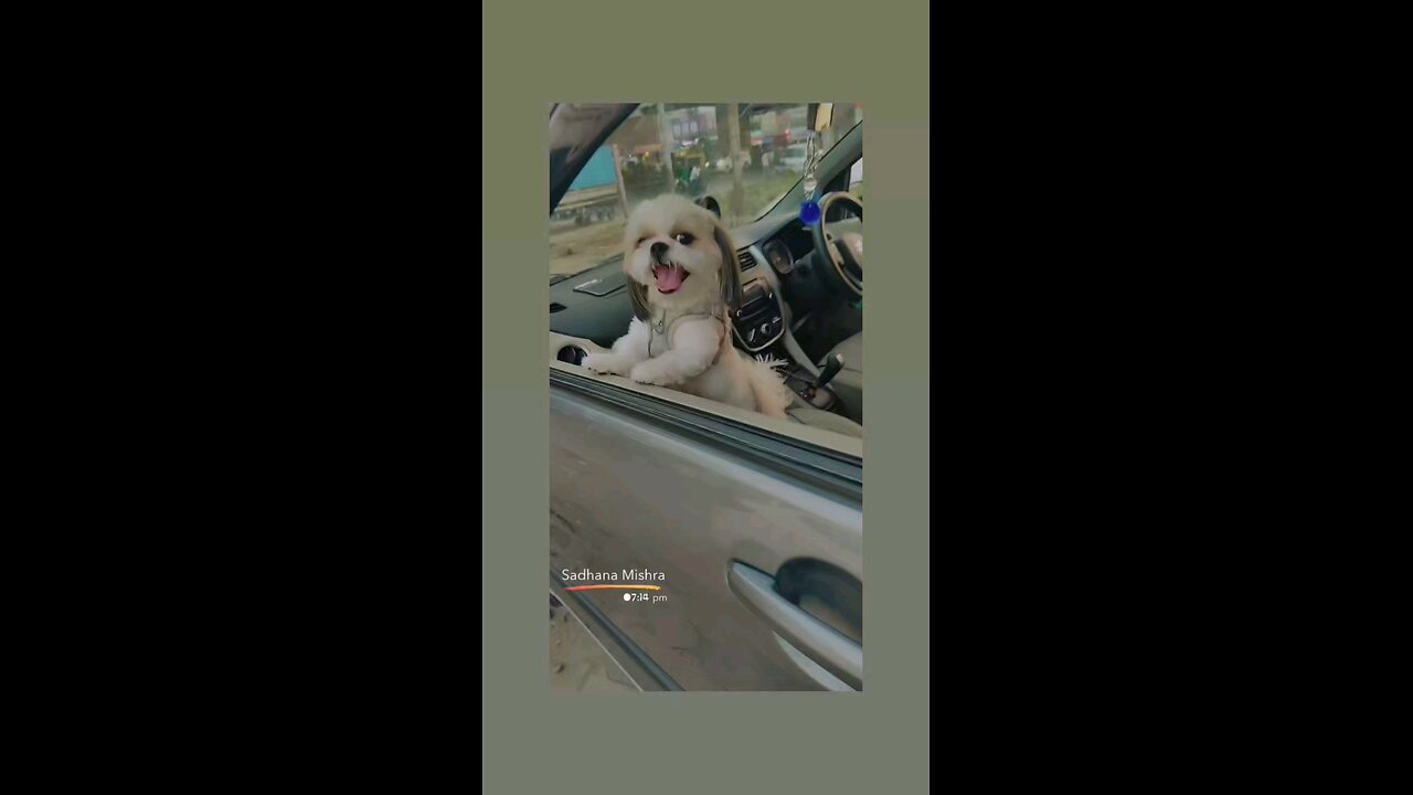 मेरी मम्मा कहा चली गई