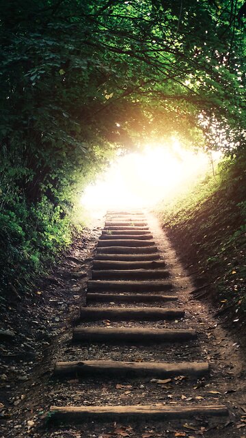 Rome or Christ? Choosing the True Path in Your Faith Journey