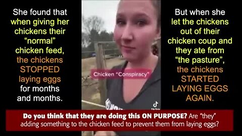 "Reasons Behind the Current Egg Shortage"