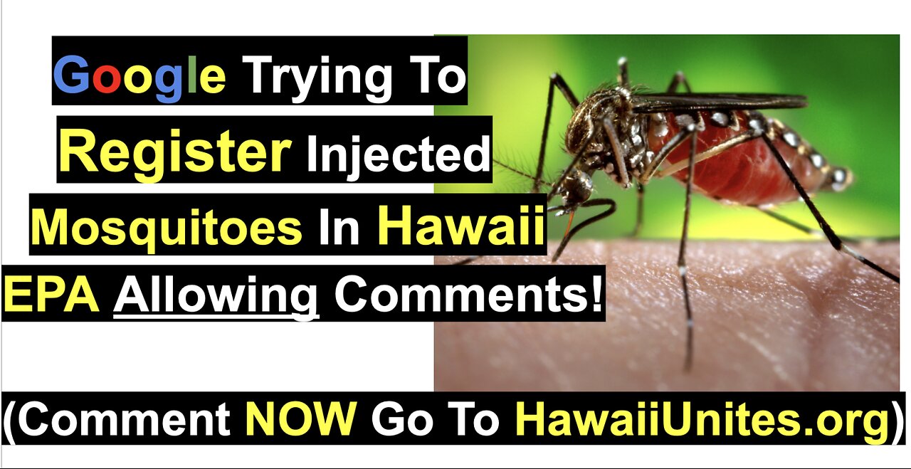 Google Trying To Register Injected Mosquitoes In HawaiiEPA Allowing Comments!