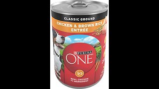 Purina ONE Classic Ground Chicken & Brown Rice Wet Dog Food