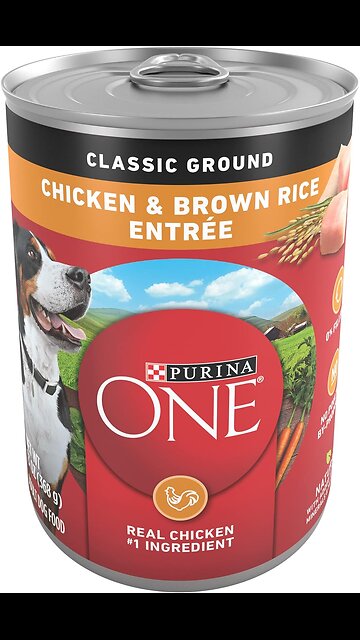 Purina ONE Classic Ground Chicken & Brown Rice Wet Dog Food