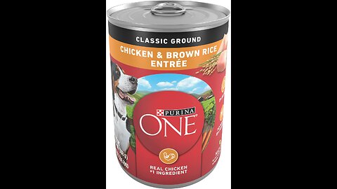 Purina ONE Classic Ground Chicken & Brown Rice Wet Dog Food
