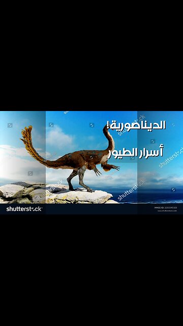 الطيور️: أسرار الديناصورات التي لم تنقرض!