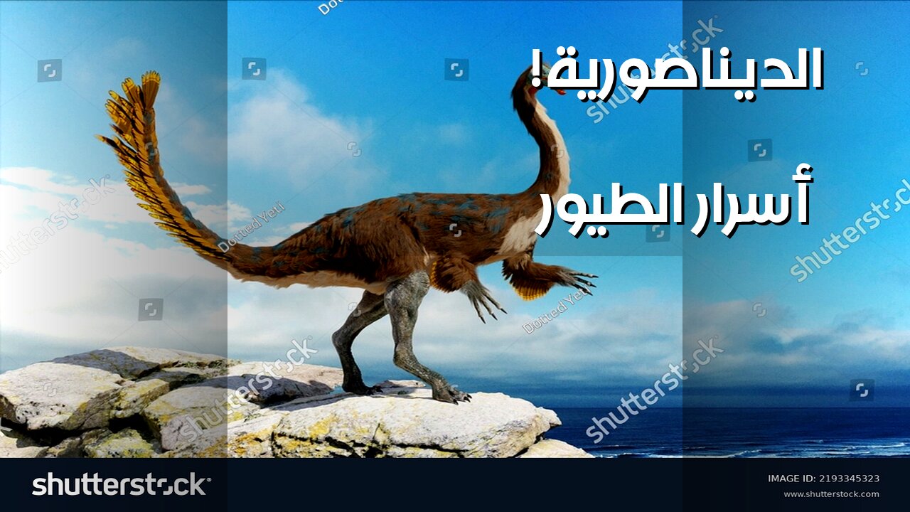 الطيور️: أسرار الديناصورات التي لم تنقرض!