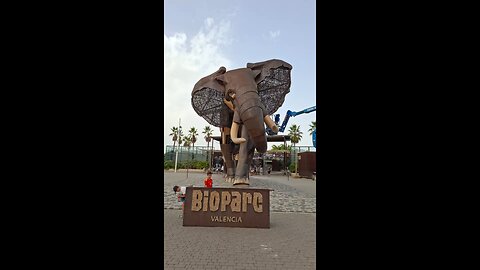Wild Heart of Valencia, Spain: A Journey Through Bioparc