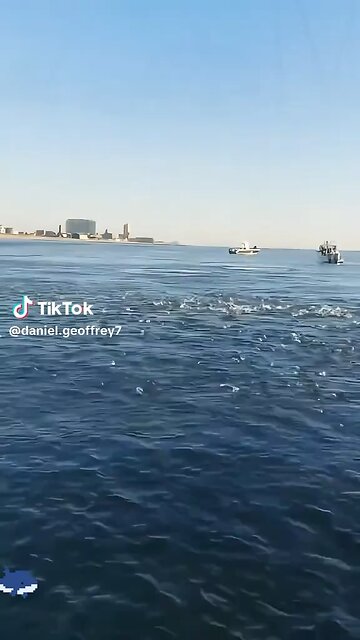 Deep Sea Fishing Is Intense!🐋