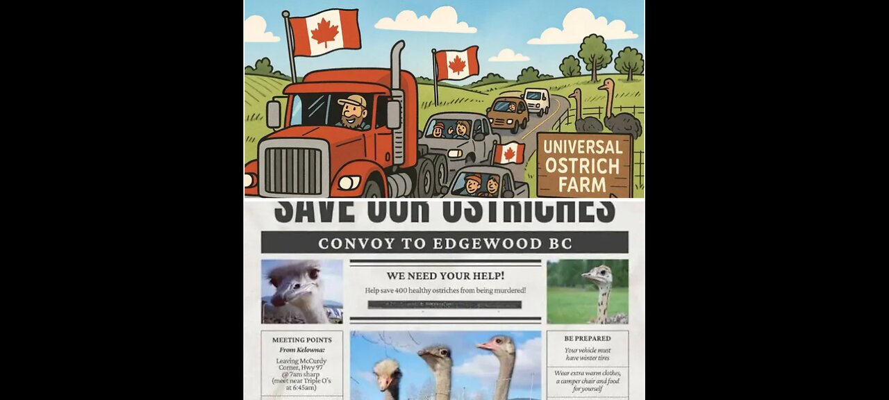 SAVE THE OSTRICH PETITION