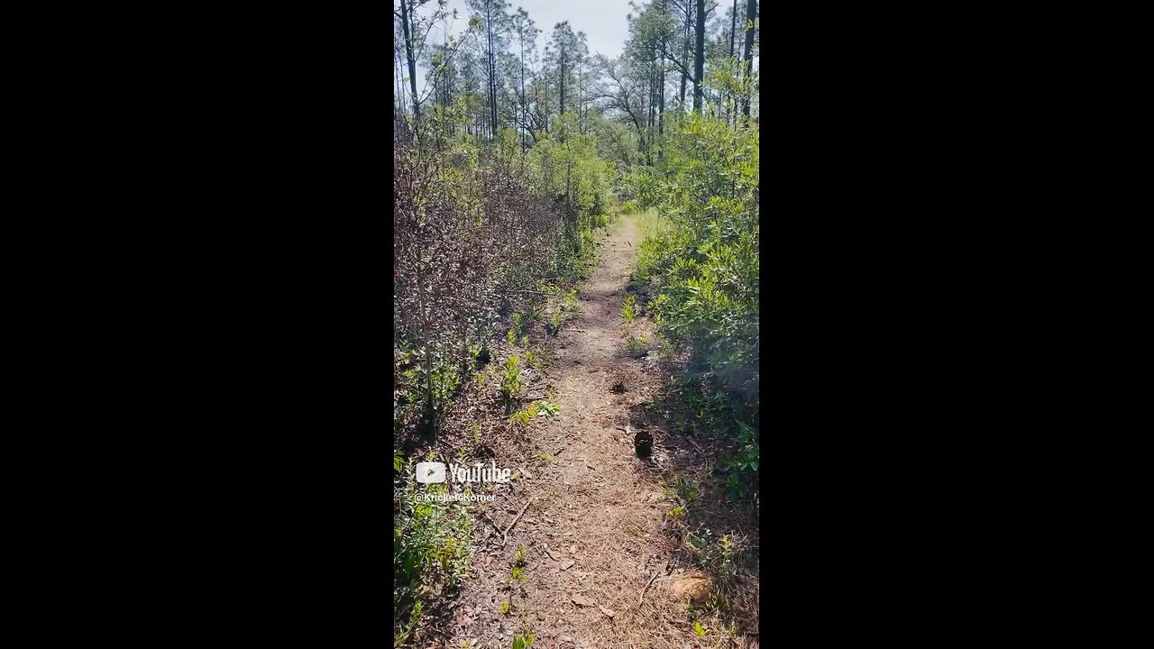 Sunday Morning Vibes ☀️