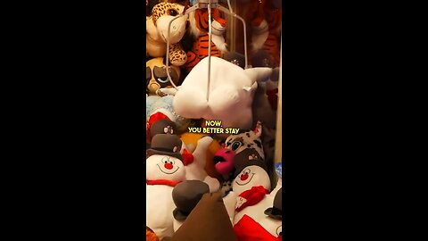GIANT Claw Machine! ☃️