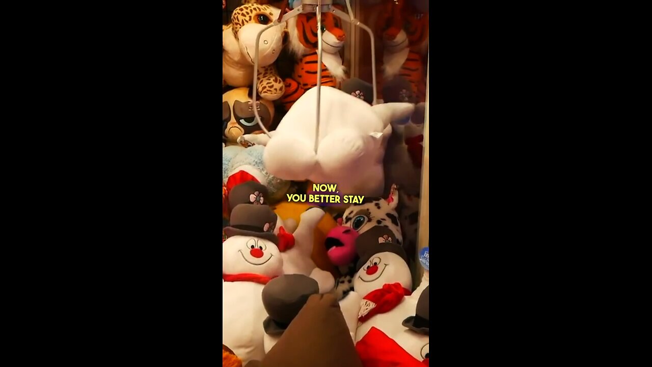 GIANT Claw Machine! ☃️
