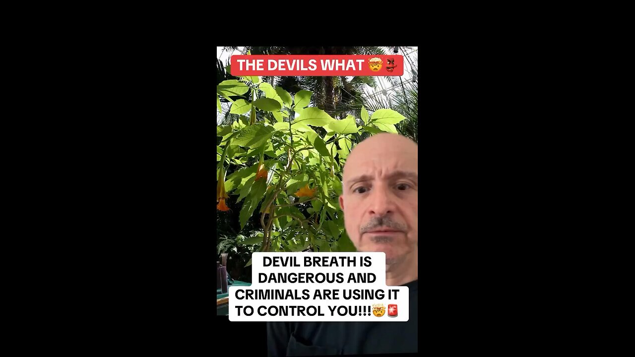 Criminals using Devil’s Breath To Incapacitate Their Victims