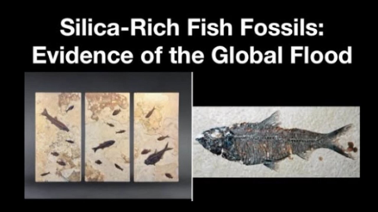 Evidence for a Global Flood