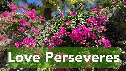 Love Perseveres. 1 Corinthians 13: 4-7