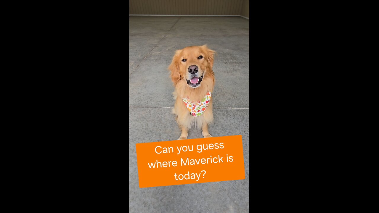 Can you guess where Maverick is today?