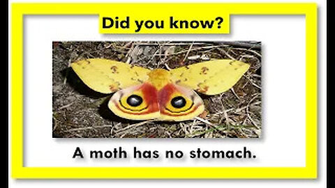 amazing Fact about animals scinece Trives