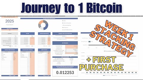 My Journey to 1 Bitcoin Begins | How I'm Using a Strategic Budget to Stack BTC Weekly