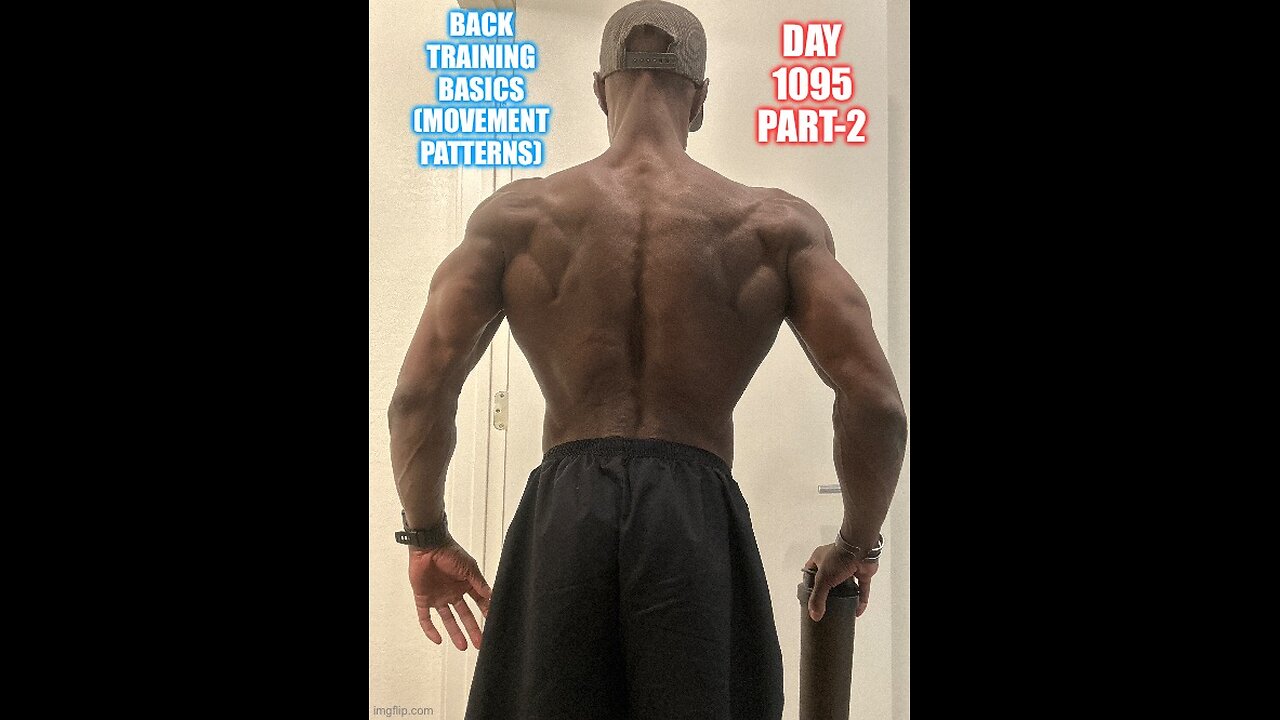 Back Training Basics (The Movement Patterns) Day 1095 Part-2