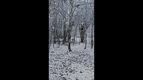 ep1 clip