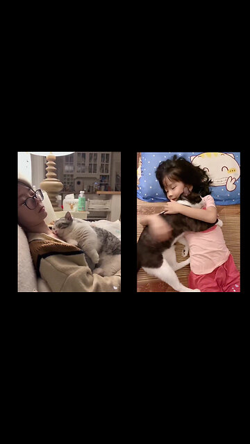 Katter som sover med sin människa 😻 🥰