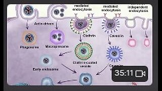 Your Cells are the chip 2-2